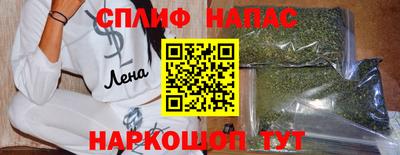 гидропоника Гагарин