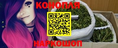 гидропоника Гагарин