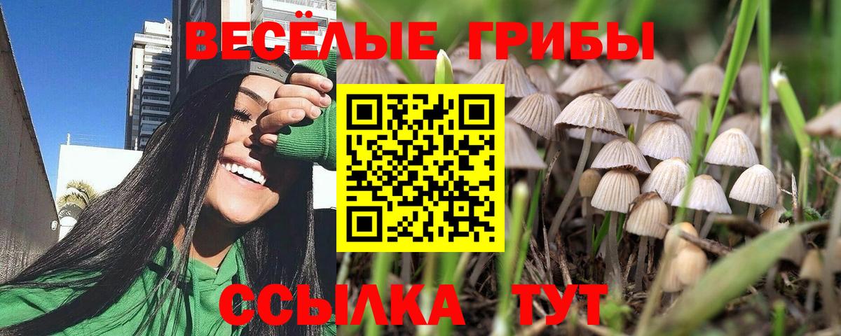 Галлюциногенные грибы Psilocybine cubensis  Вход с VPN  Псилоцибиновые грибы Psilocybe  что такое   Дмитров 